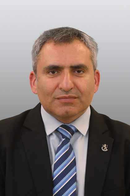 זאב אלקין